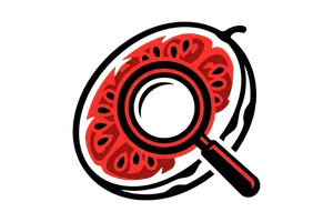 乱小说录目伦合集 - 吃瓜社Logo